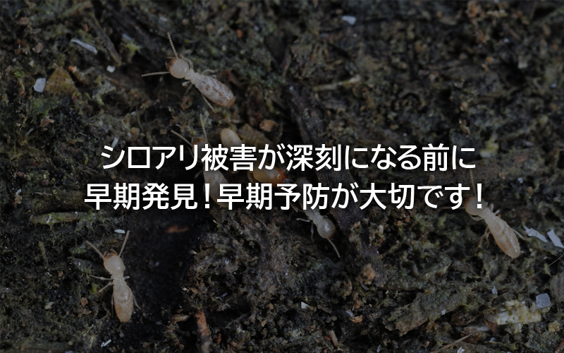 シロアリ被害が深刻になる前に早期発見!早期予防が大切です!